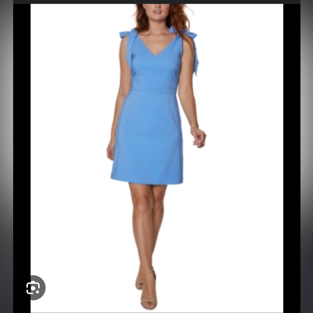 BCBG Tie Sleeve V Neck Dress